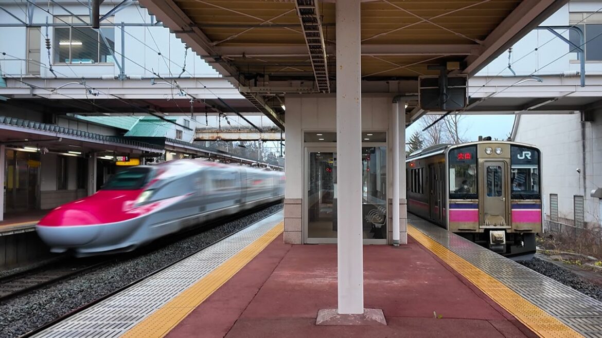 Japan's Rare Train That Runs on Bullet Train Tracks