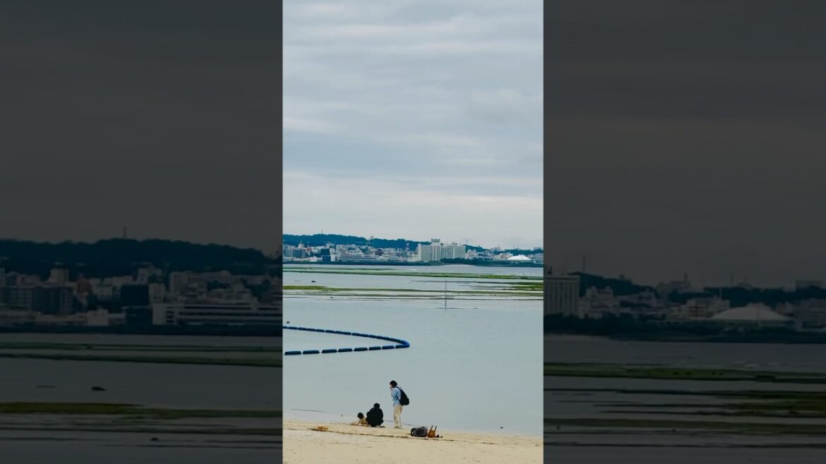 Good morning Okinawa 🇯🇵#travel #goodmorning #okinawa