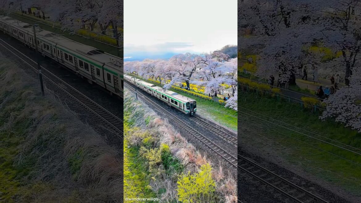 📍 Funaoka, Miyagi Prefecture Tohoku, Japan 🌸🇯🇵🗻🚃 #japantravel #miyagi #fyp #fypシ゚viral #train