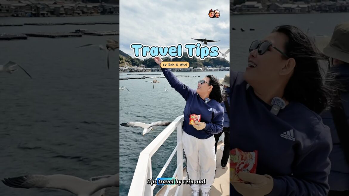 Summer Tips Travel In Kyoto, Japan 👍😍 #explore #holidayvlog #kyoto #amanohashidate #fyp #trending