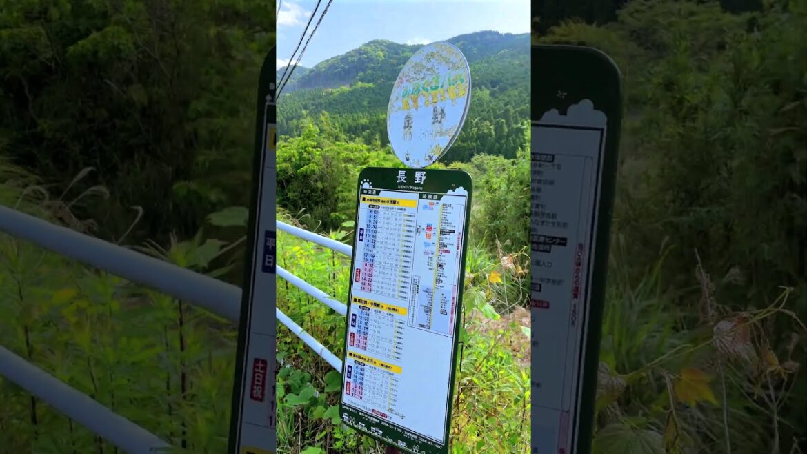 Nagano Bus Stop in Nagano-cho, Minamata City, Kumamoto Pref, Japan. #japanesecountryside