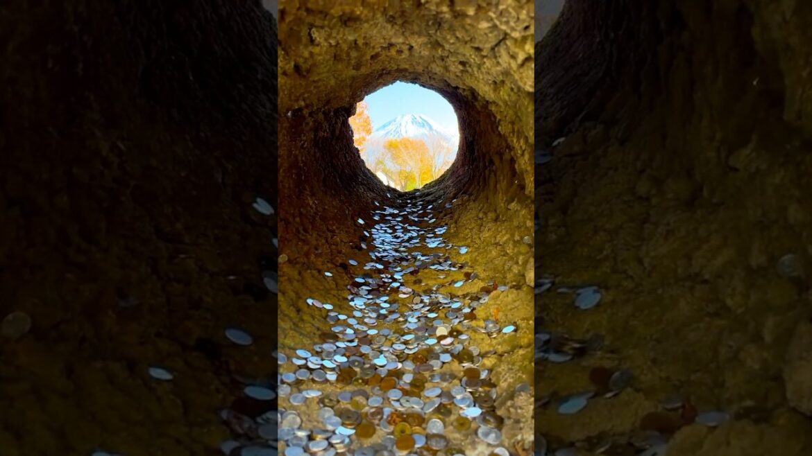 Secret Mt Fuji Viewpoint You’ve Never Seen 👀