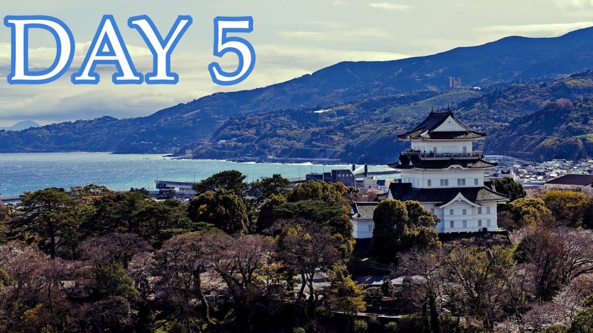 JAPAN 2025 | DAY 5 | Ofuna / Kamakura / Odawara / Hakone