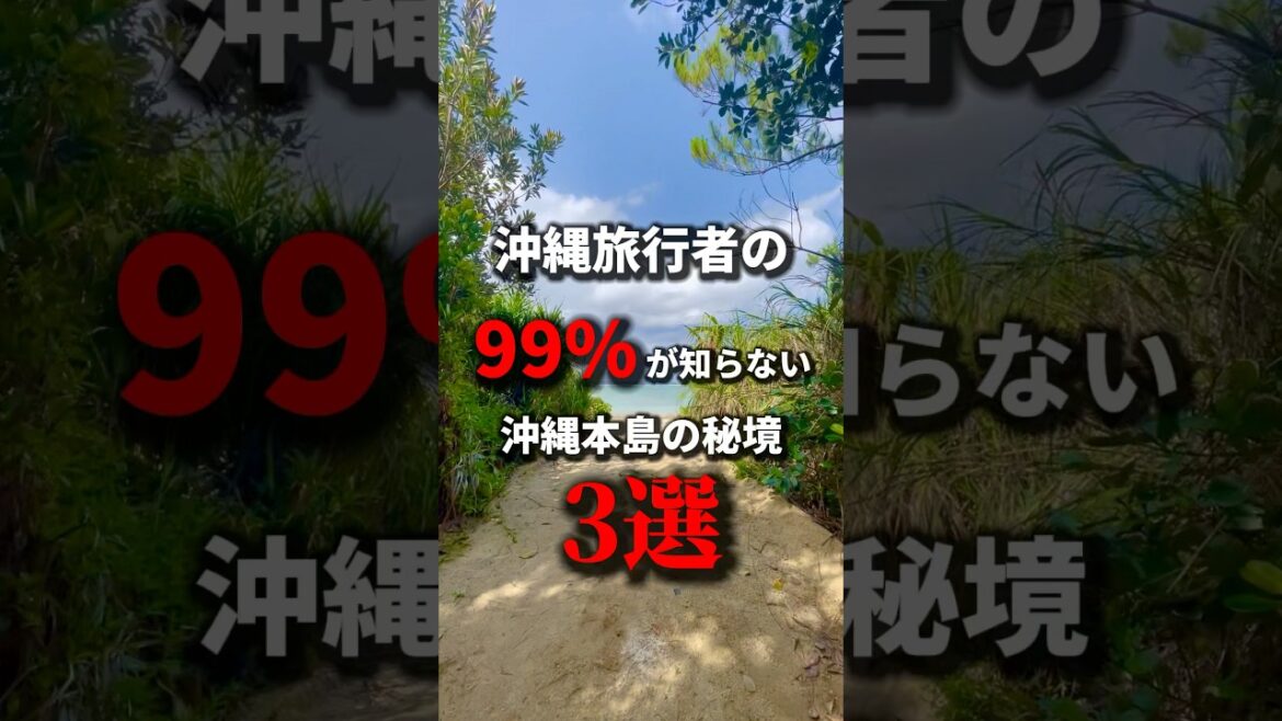 【秘境】インスタで沖縄本島の秘境3選の資料を無料プレゼント🎁《沖縄旅行・観光・旅行・Okinawa》#沖縄#沖縄旅行#旅行#旅#絶景#絶景スポット#秘境#okinawa#trip#travel