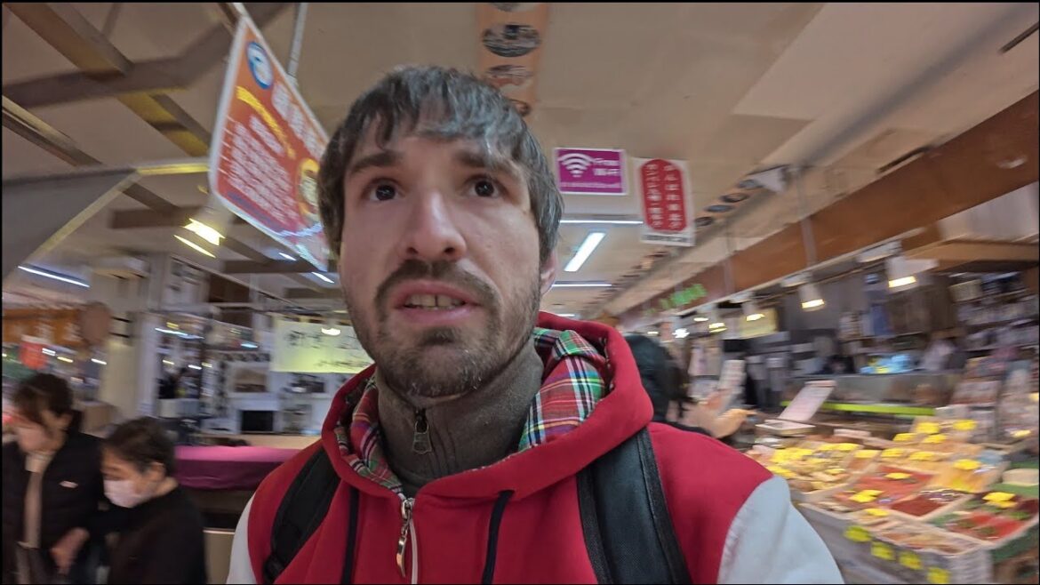 Hakodate 🦑 Snow Monkeys, Sapporo TV Tower, Morning Market,  Goryokaku, Cherry Blossoms, Shinkansen