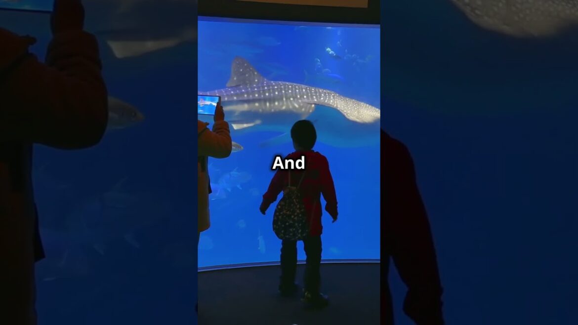 Discover Osaka's Most Iconic Spots in 60 Seconds!