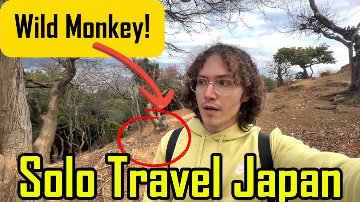 Arashiyama Monkey Park Travel Guide – Solo in JAPAN Vlog Arashiyama Monkey Park Travel Guide - Solo in JAPAN Vlog