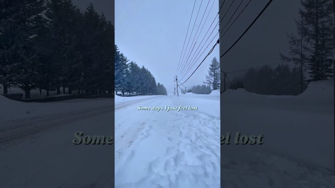 In the middle of nowhere. Just missed the bus #japan #japantravel #sapporo #hokkaido #travel #winter