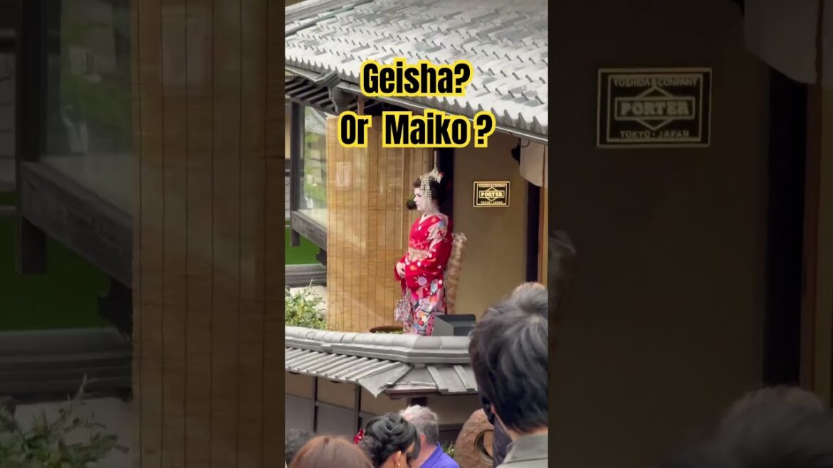 Is she Geisha ? Or Maiko ? Kyoto Japan #japan #geisha #japantravel