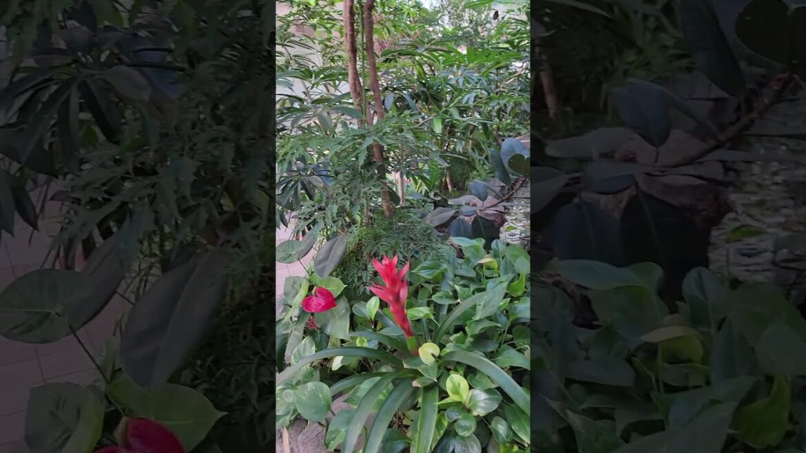 I get all confused 😅