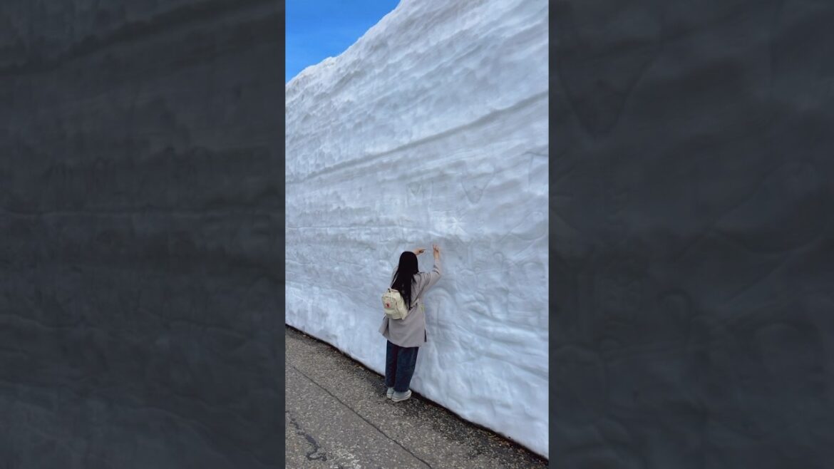 Another dream destination unlocked! Kurobe Alpine Route🤍 #snowwall #snowcorridor  #Murodo#short