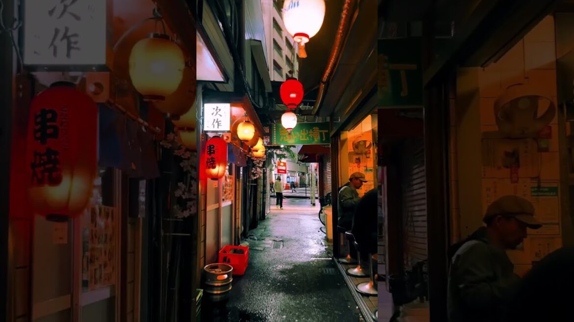 Shinjuku / 新宿　#旅行 #travel #japantravel #visitjapan #shinjuku #shibuya #思い出横丁　#tokyotower #tokyo #東京