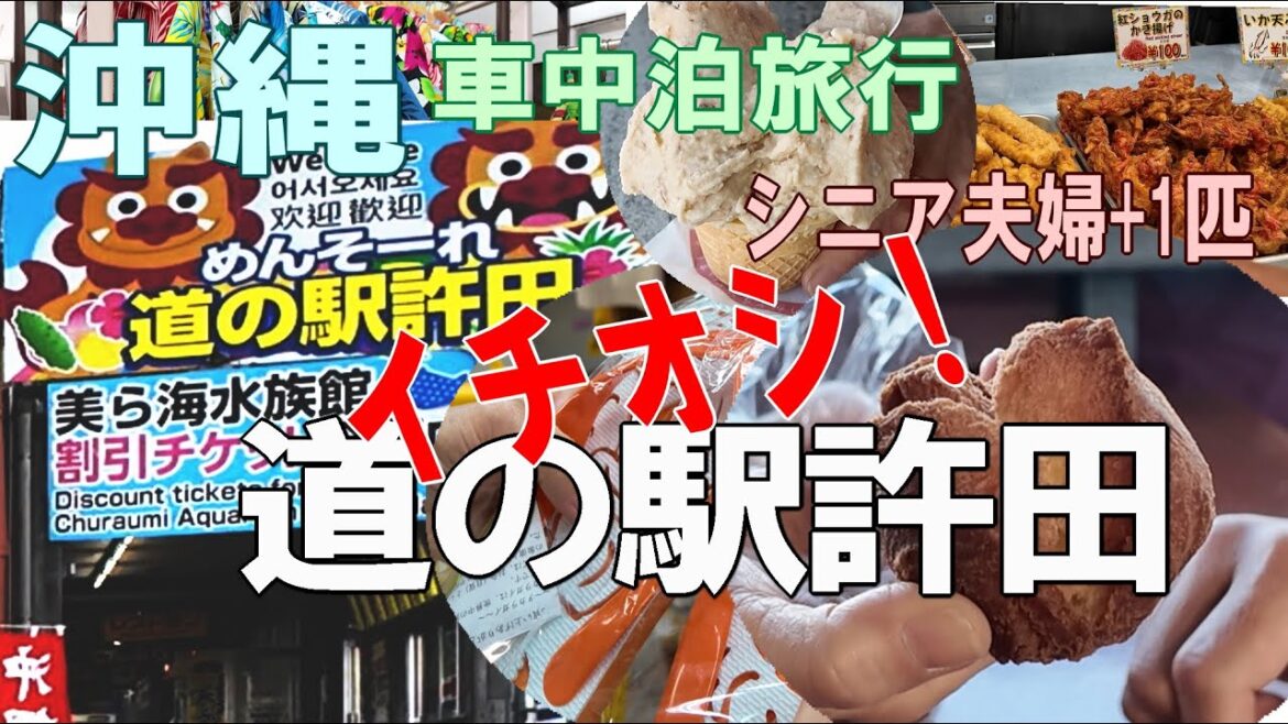 沖縄一周車中泊旅行記18【イチオシ!道の駅許田】シニアライフ 沖縄一周車中泊旅行記18【イチオシ!道の駅許田】シニアライフ