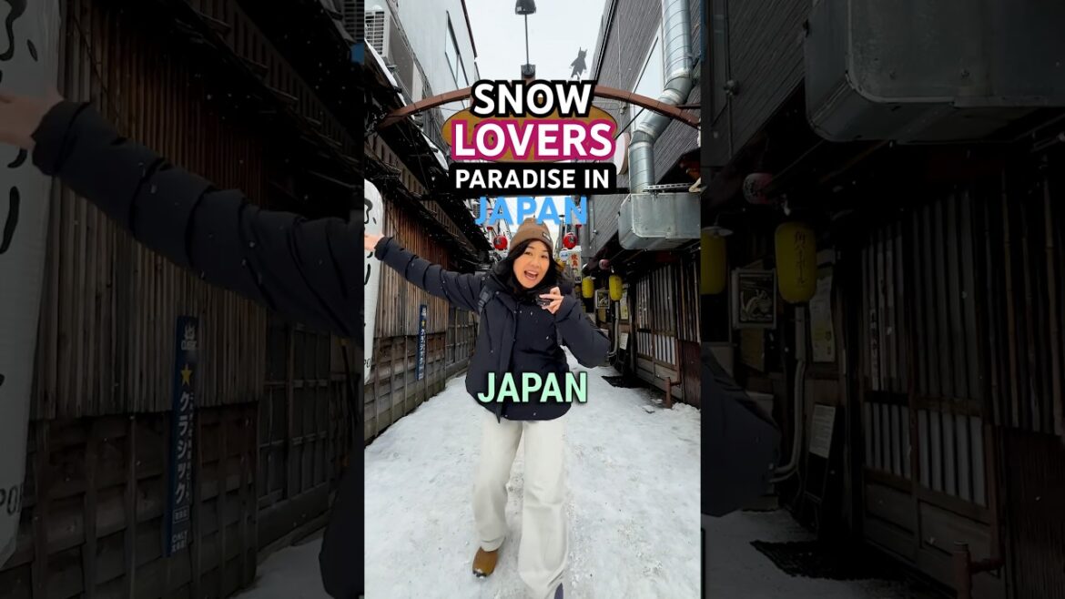 The COLDEST CITY in JAPAN! 🥶 Snow Lovers Paradise! The COLDEST CITY in JAPAN! 🥶 Snow Lovers Paradise!