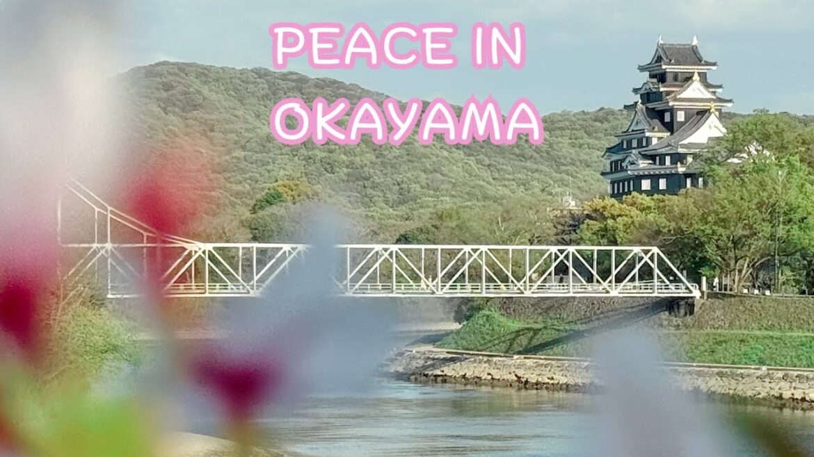 Hidden Gem Near Osaka? Exploring Okayama Castle & Korakuen Garden in a Day
