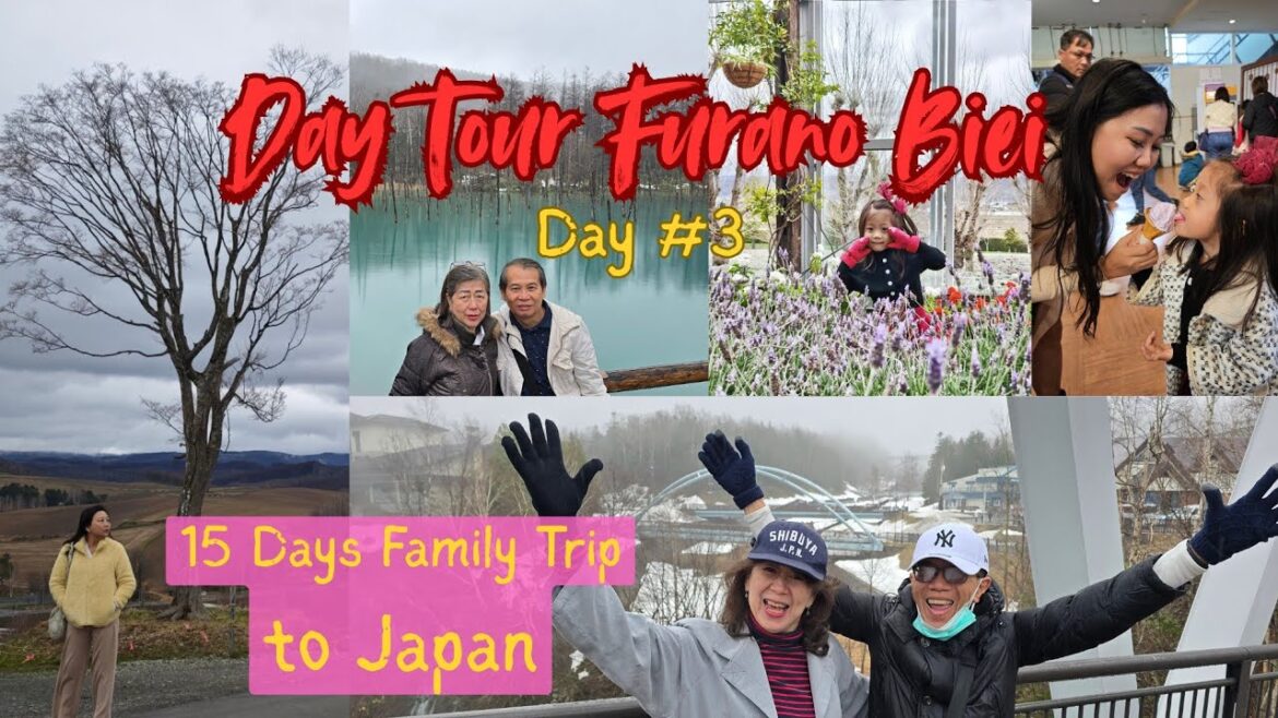 Day Tour Sapporo Furano Biei. ( Day #3 )