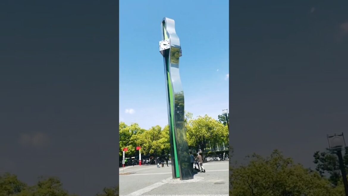 They have fun in Yoyogi Park🇯🇵#tokyo #family #travel #havefun #asia #amazing #beautiful