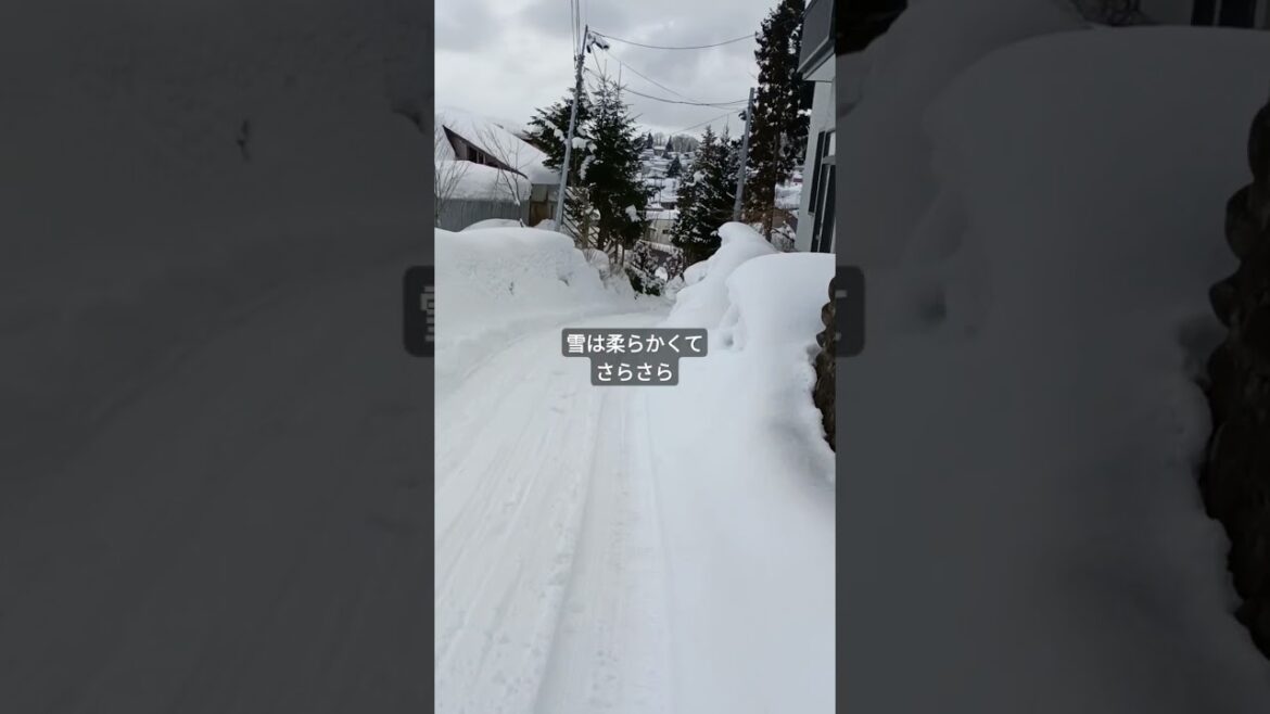 2025年2月21日キュンパス #キュンパス #青森 #ひらこ屋 #煮干しラーメン #津軽新城駅