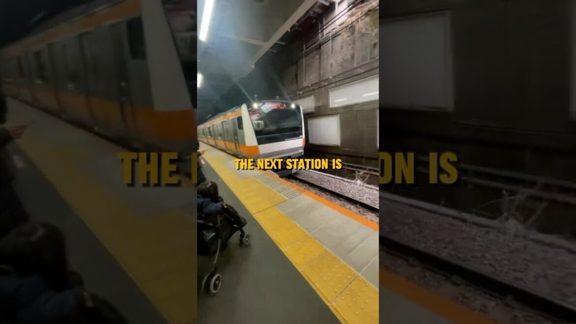 Dont go to Shibuya 🤔 #travel #japan #shibuya #shibuyacrossing