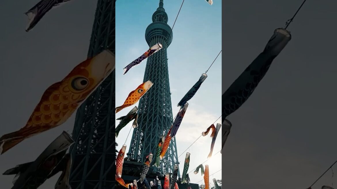 【必見】今しか観れないこの景色！｜スカイツリー｜東京｜鯉のぼり #旅行 #travel