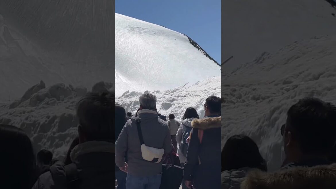 Tateyama Snow Wall Alpine Route 2025 #travel #traveldestinations #japan