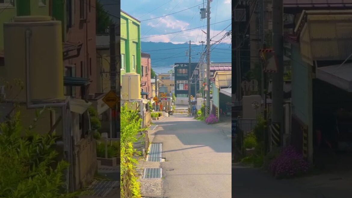 이러니 일본의 시골을 사랑할수밖에 #nagano