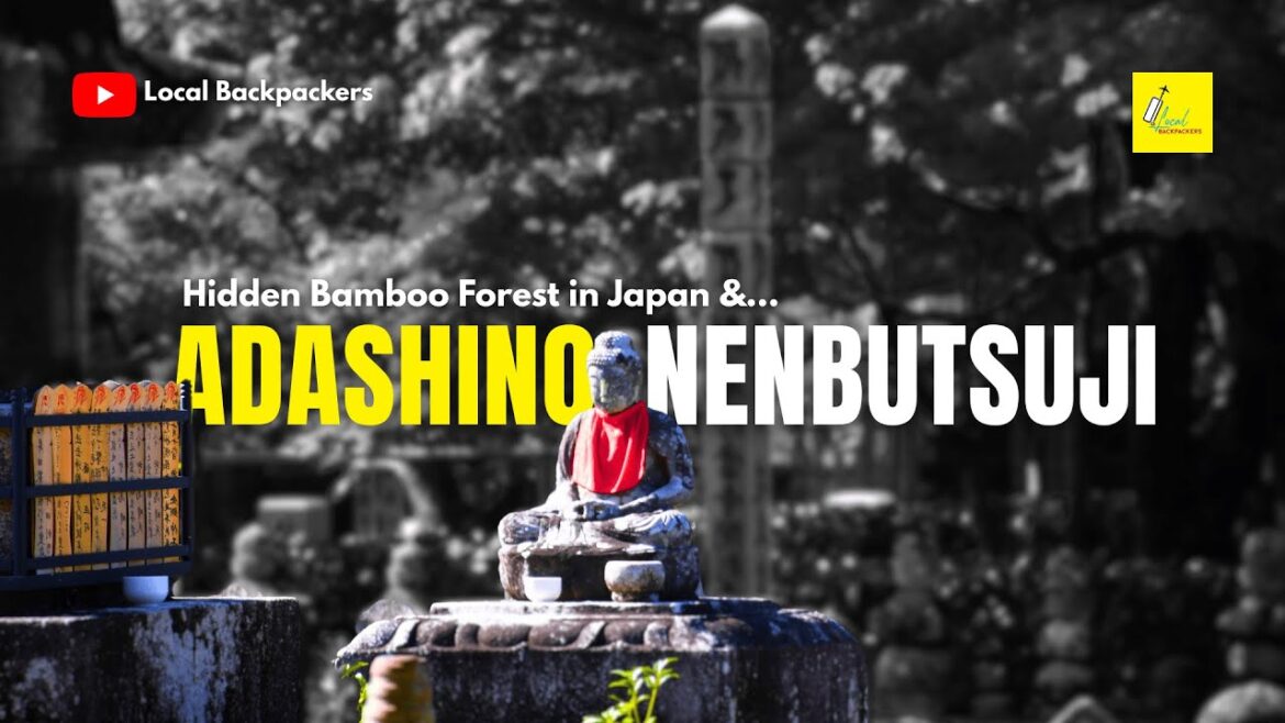 Day Trip to Adashino Nenbutsuji Temple from Kyoto: Hidden Bamboo Forest in Japan! #japan #travel