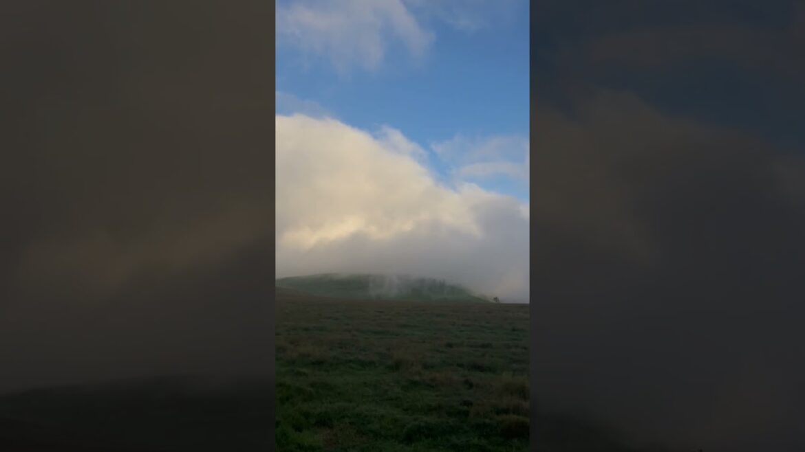 Feel the Magic of Ghibli in Japan – Don’t Miss This Spot!! #japan #nature #nagano