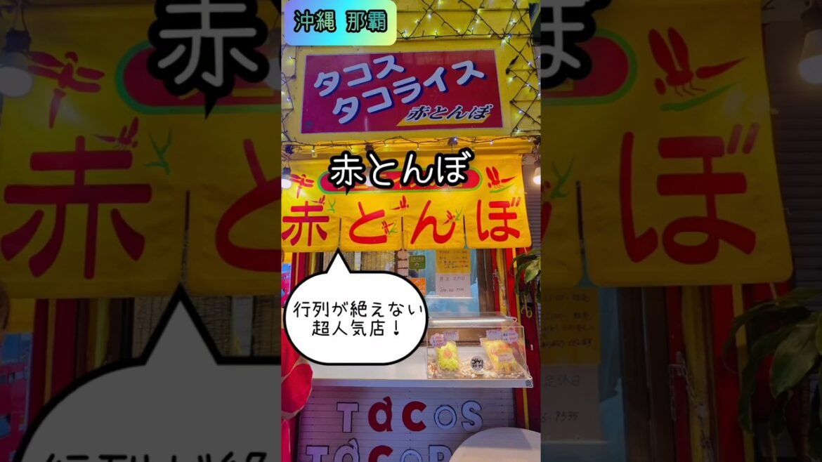 【一人旅】〈沖縄グルメ〉行列必至!タコス&タコライスのお店・赤とんぼ #shorts #沖縄 #グルメ 【一人旅】〈沖縄グルメ〉行列必至!タコス&タコライスのお店・赤とんぼ #shorts #沖縄 #グルメ