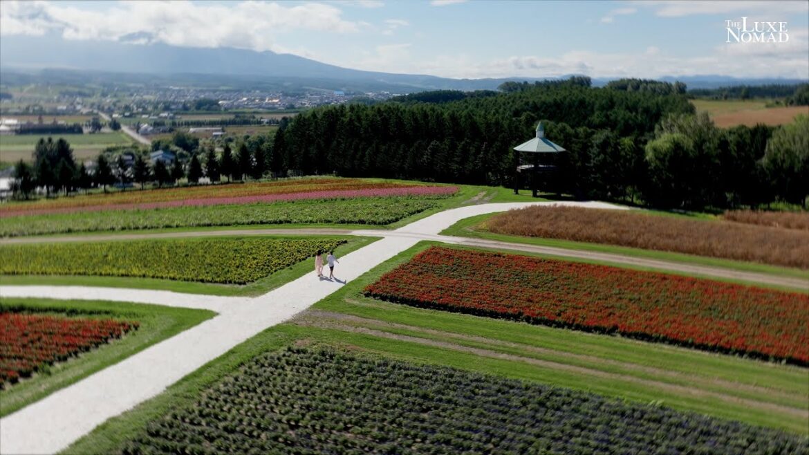 Uncover a Different Side of Japan | Hokkaido in Summer | The Luxe Nomad Uncover a Different Side of Japan | Hokkaido in Summer | The Luxe Nomad