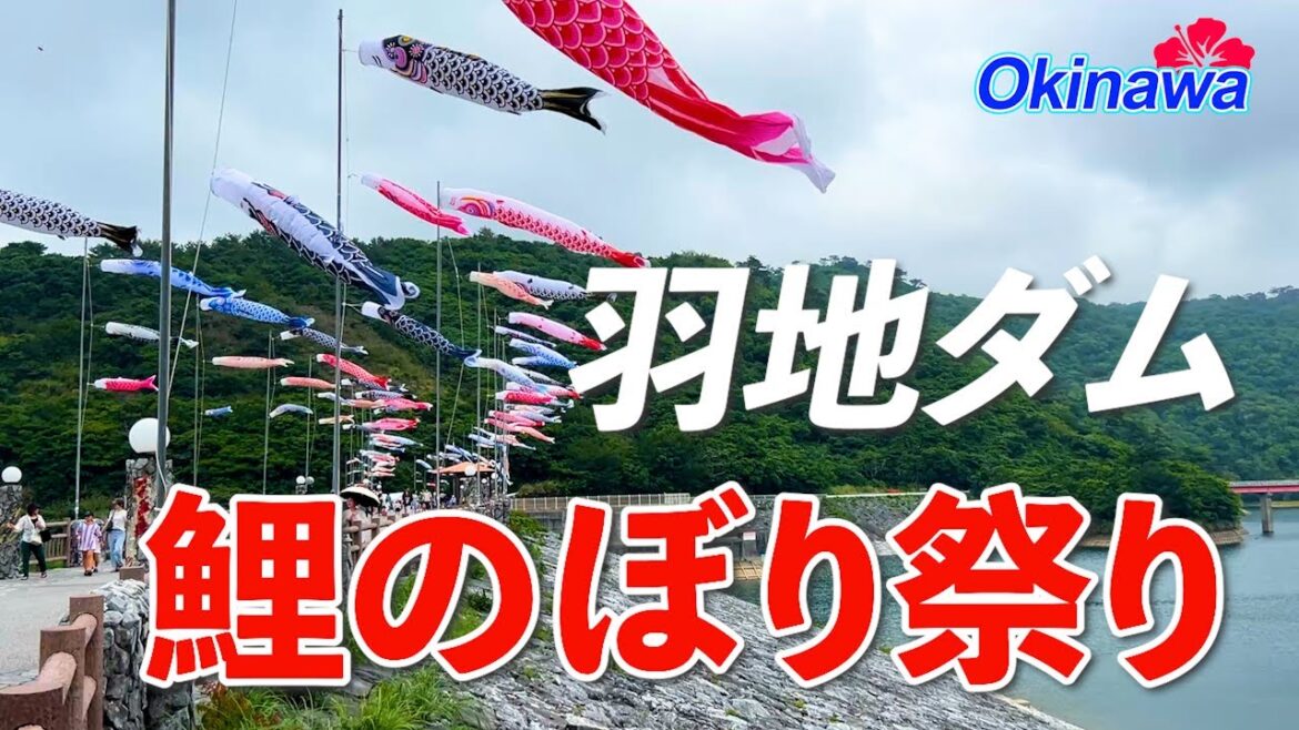 【名護市の春の風物詩】羽地ダム鯉のぼり祭り  Carp Streamers in the Sky|Spring at Haneji Dam, Okinawa 【名護市の春の風物詩】羽地ダム鯉のぼり祭り  Carp Streamers in the Sky|Spring at Haneji Dam, Okinawa