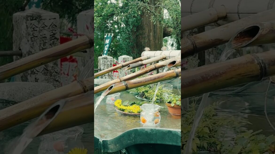 🌊⛩️ The Most Majestic Falls in Wakayama: Nachi Falls