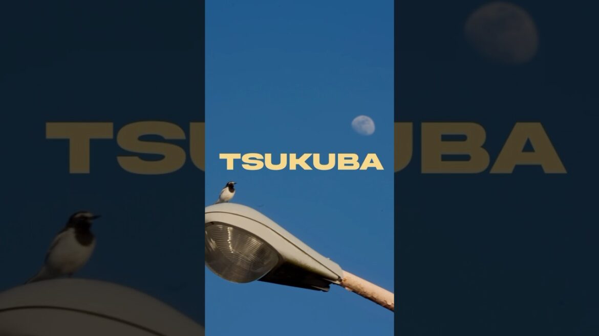 All the things you can do on airplane mode #tsukuba #Japan #Travel