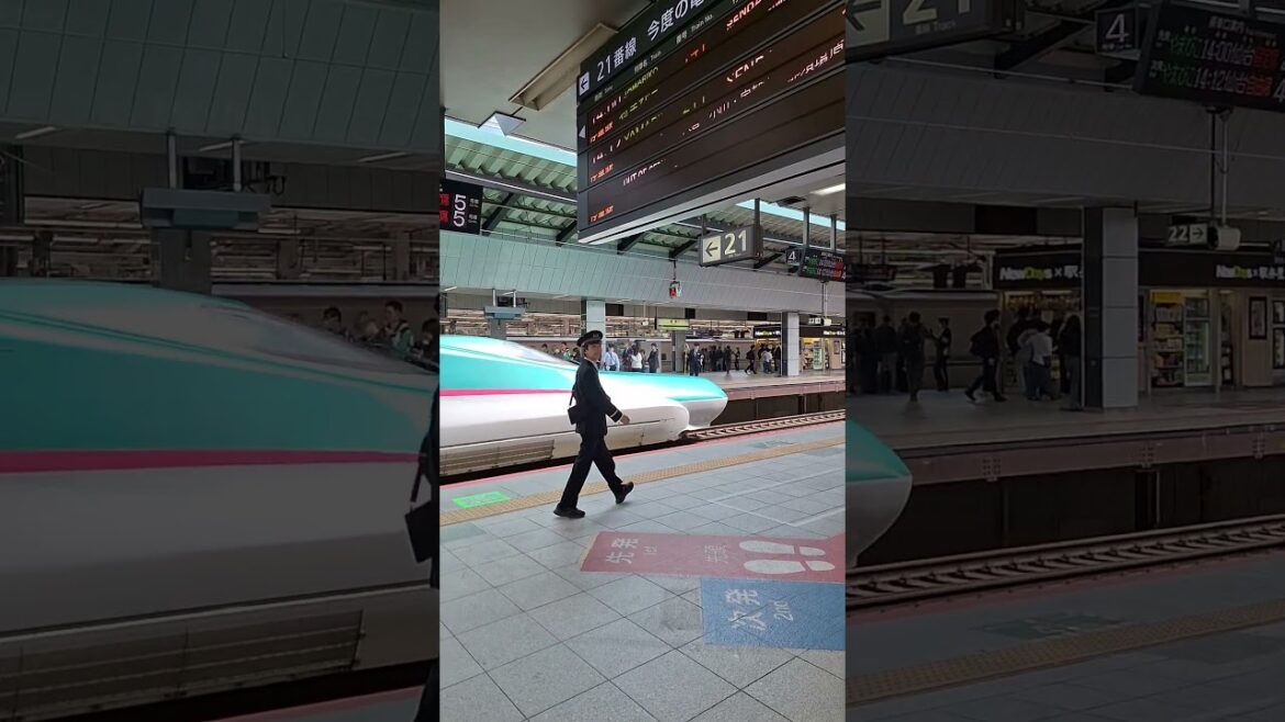 Shinkansen Japan (2025)