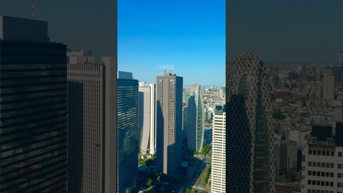 Panoramic views of Tokyo Metropolitan Government Building🇯🇵#japan #travel #tokyo#views#amazing Panoramic views of Tokyo Metropolitan Government Building🇯🇵#japan #travel #tokyo#views#amazing