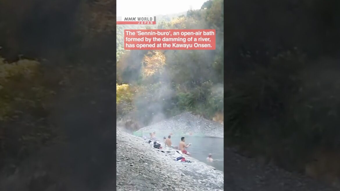 Winter warmer: Wakayama’s hot-spring river bathーNHK WORLD-JAPAN NEWS #shorts Winter warmer: Wakayama’s hot-spring river bathーNHK WORLD-JAPAN NEWS #shorts