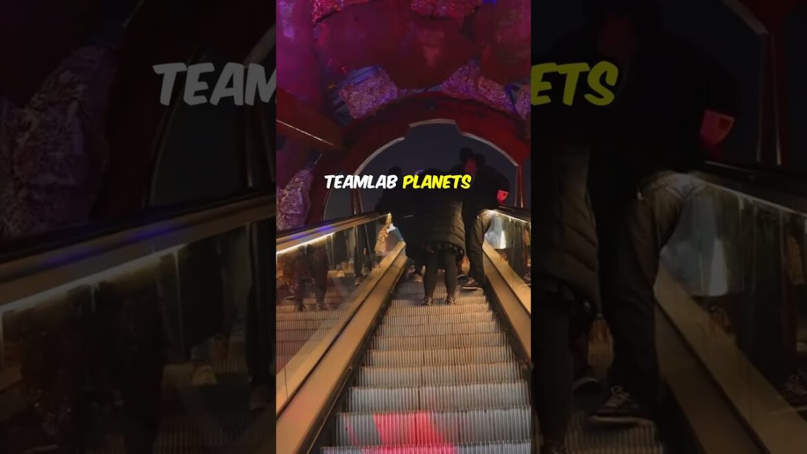 Top 3 Must-Visit Places in Tokyo 🇯🇵 (Quick Travel Guide) #exploreasia