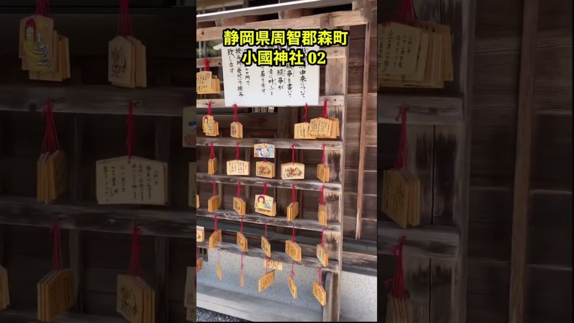 小國神社 02 #日本 #小國神社#旅行 #japan #絶景 #自然 #静岡県