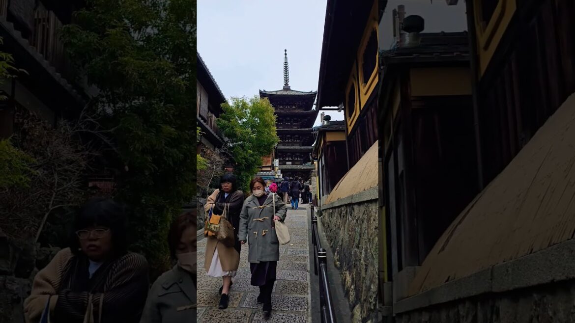 Hokan-ji temple. Kyoto, Japan ๐ฏ๐ต #shorts #kyoto #japan Hokan-ji temple. Kyoto, Japan ๐ฏ๐ต #shorts #kyoto #japan