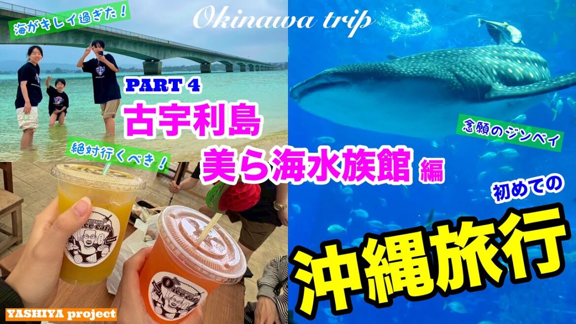 【3泊4日沖縄家族旅行】④ 美ら海水族館＆古宇利島編 #沖縄