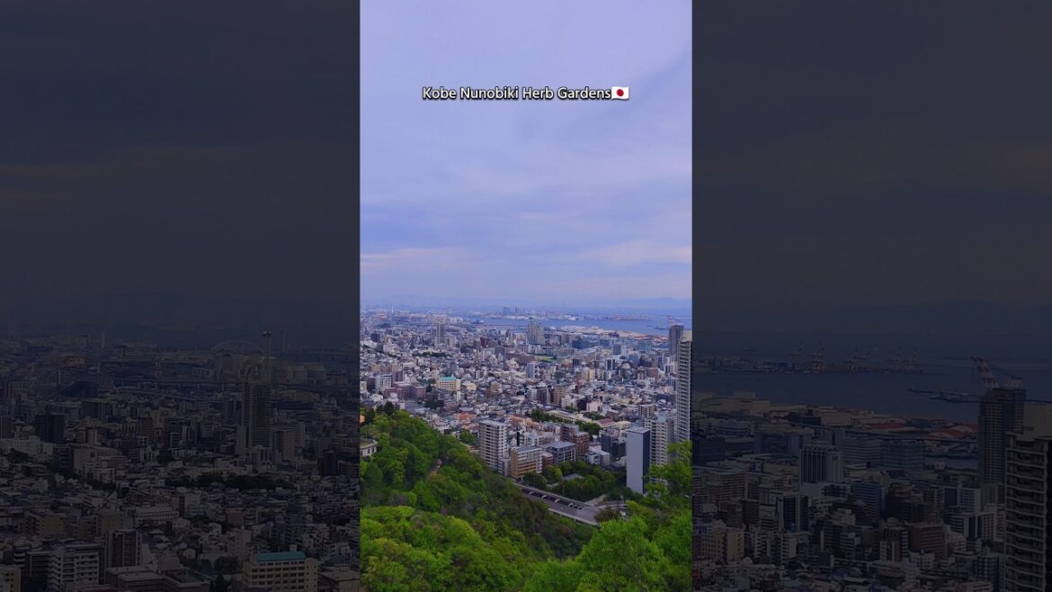 Beautiful Kobe Herb Garden View | Japan Travel