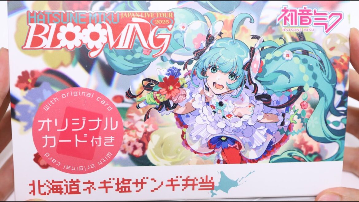 Hatsune Miku Japanese Fried Chicken Bento Lu