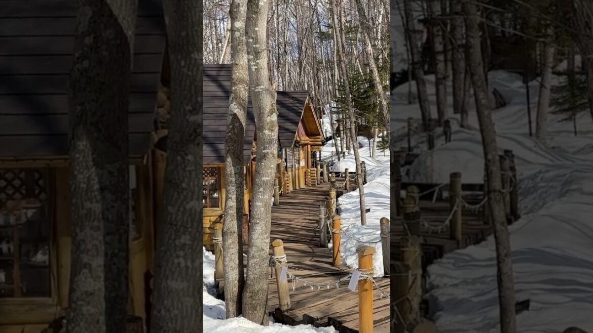 Magical Snowy Village in Hokkaido #furano #ningleterrace #village #japan #travelvlog #snow #shorts