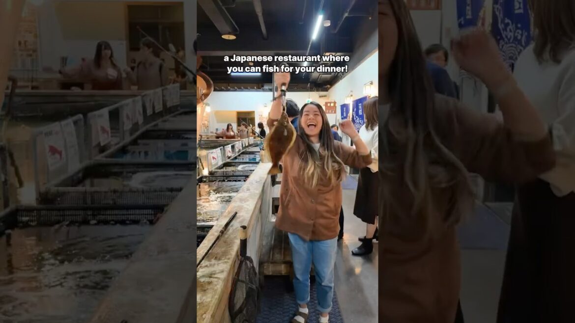 Catch your own dinner in Japan?! You WON'T believe this restaurant! #japan #zauo #fishing