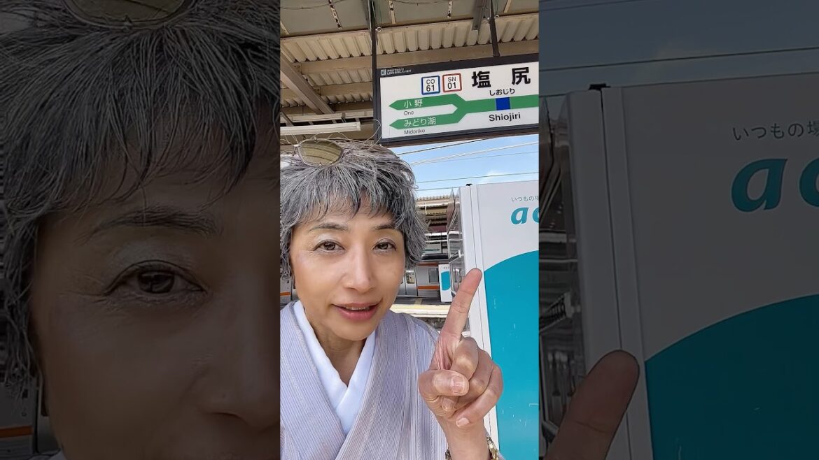 #japanguide #nagano #shioziri #kimono #shortvideo