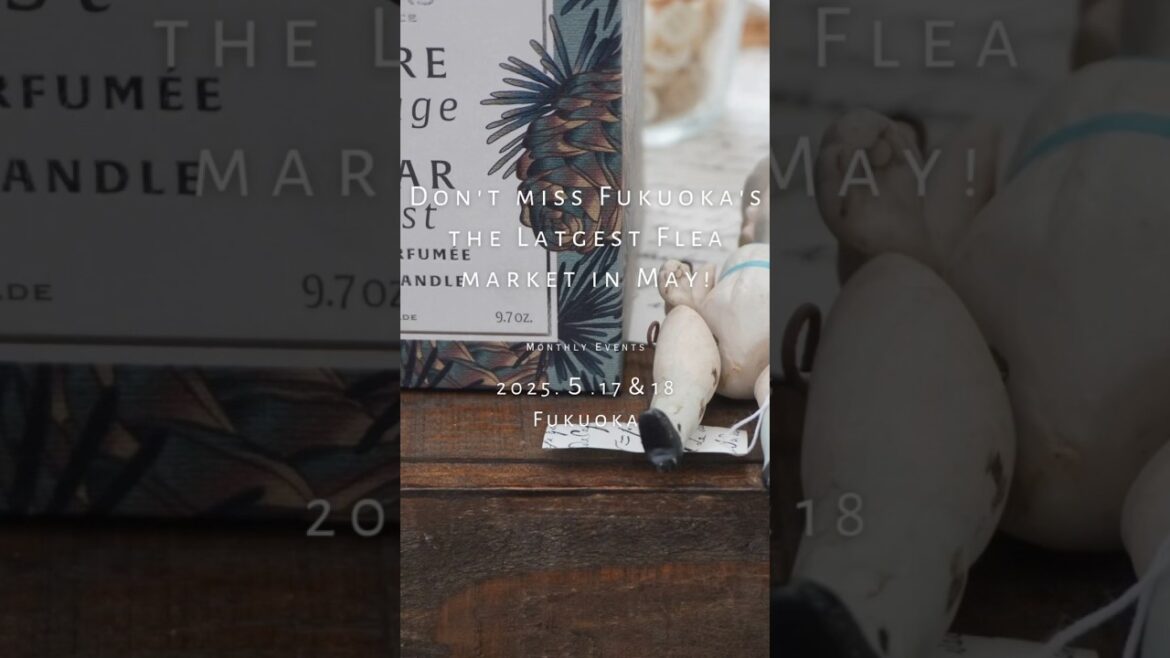 Don't miss Fukuoka's the largest Flea Market in May!!