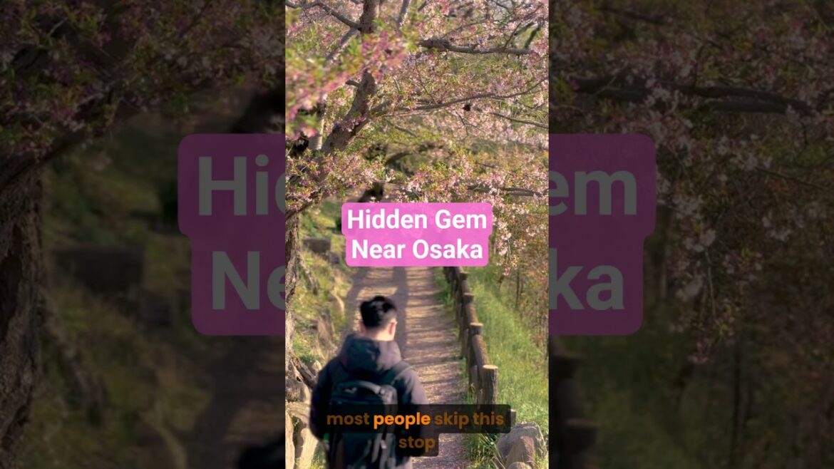 Why We Took a Surprise Trip to Okayama 🚄🌸