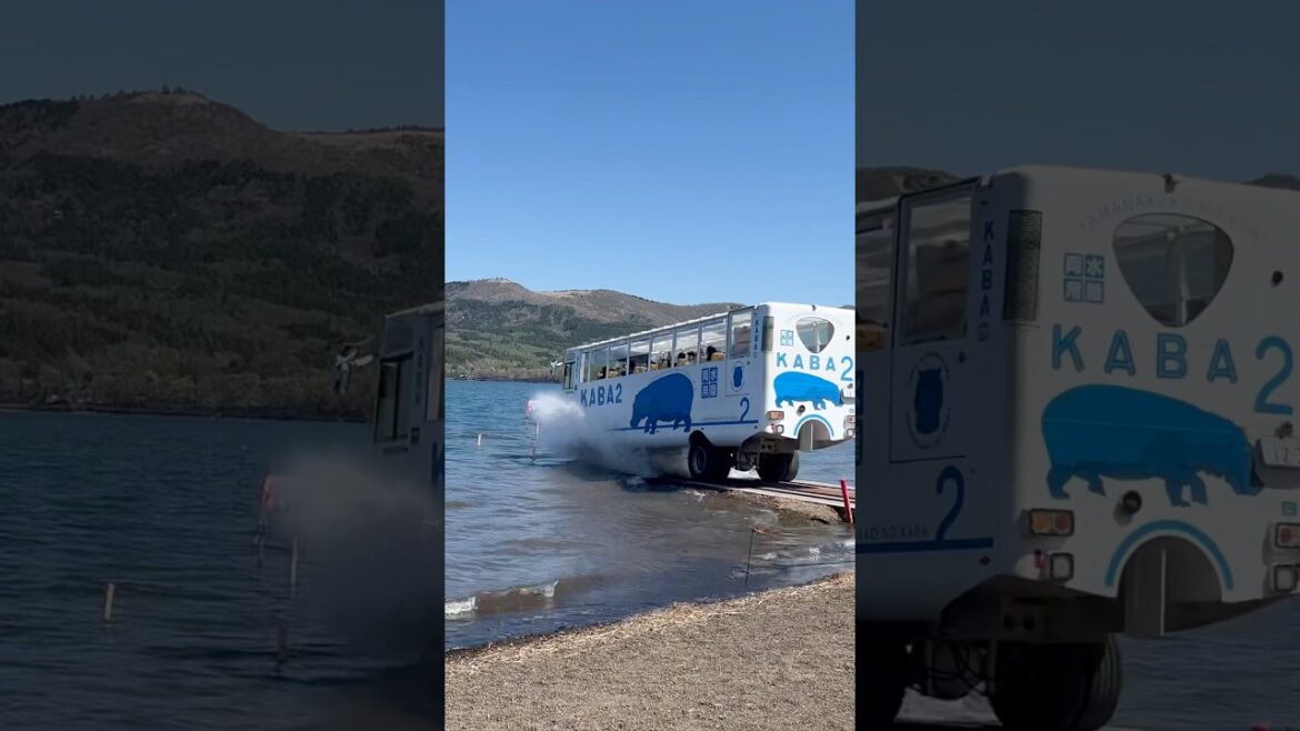 Bus converts as boat in japan😍😍              #japan #train #water #boat