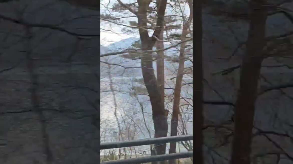 Enjoying the view of Mount Fuji during our road trip.