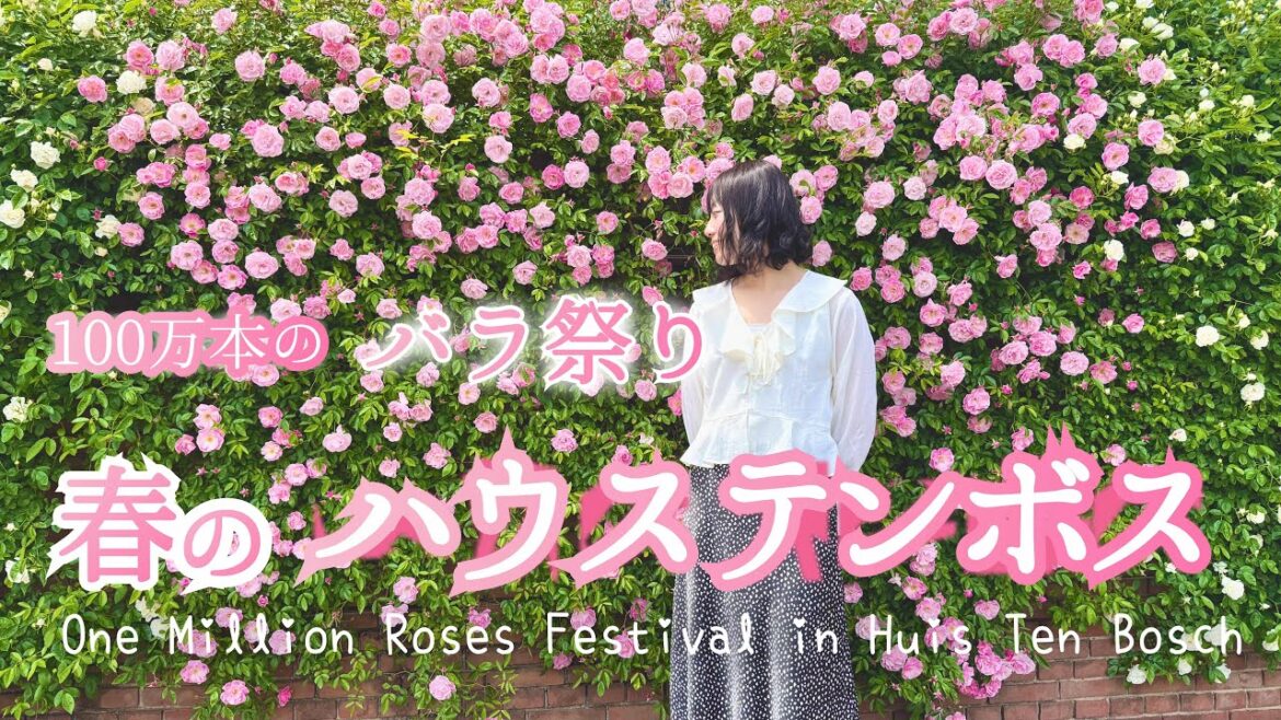 【長崎観光スポット】感動！100万本のバラ祭り| 春のハウステンボス （九州旅） Huis Ten Bosch ​⁠in長崎県佐世保市nagasaki travel sightseeing